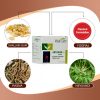 ARTHRUM PLUS CAP