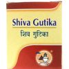 SHIVAGUTIKA-0