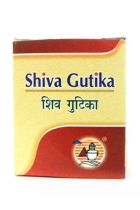 SHIVAGUTIKA-0